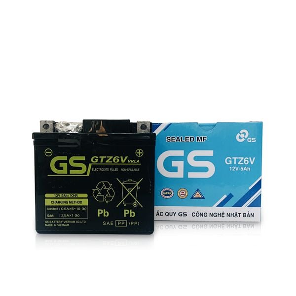 ẮC QUY GS KHÔ GTZ6V, 6V-5AH